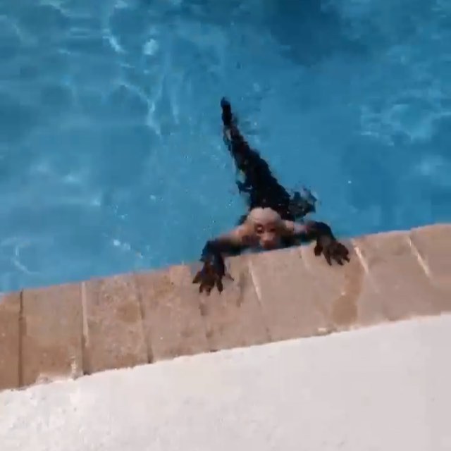 d42d4ea8222abcd1177fc086eab2ac3d